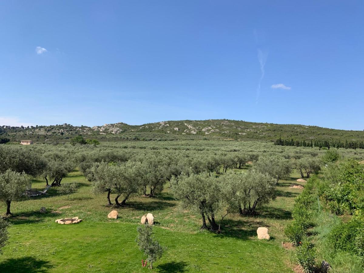 La Bergerie de Cigalon Bed and Breakfast Mouries Exterior foto