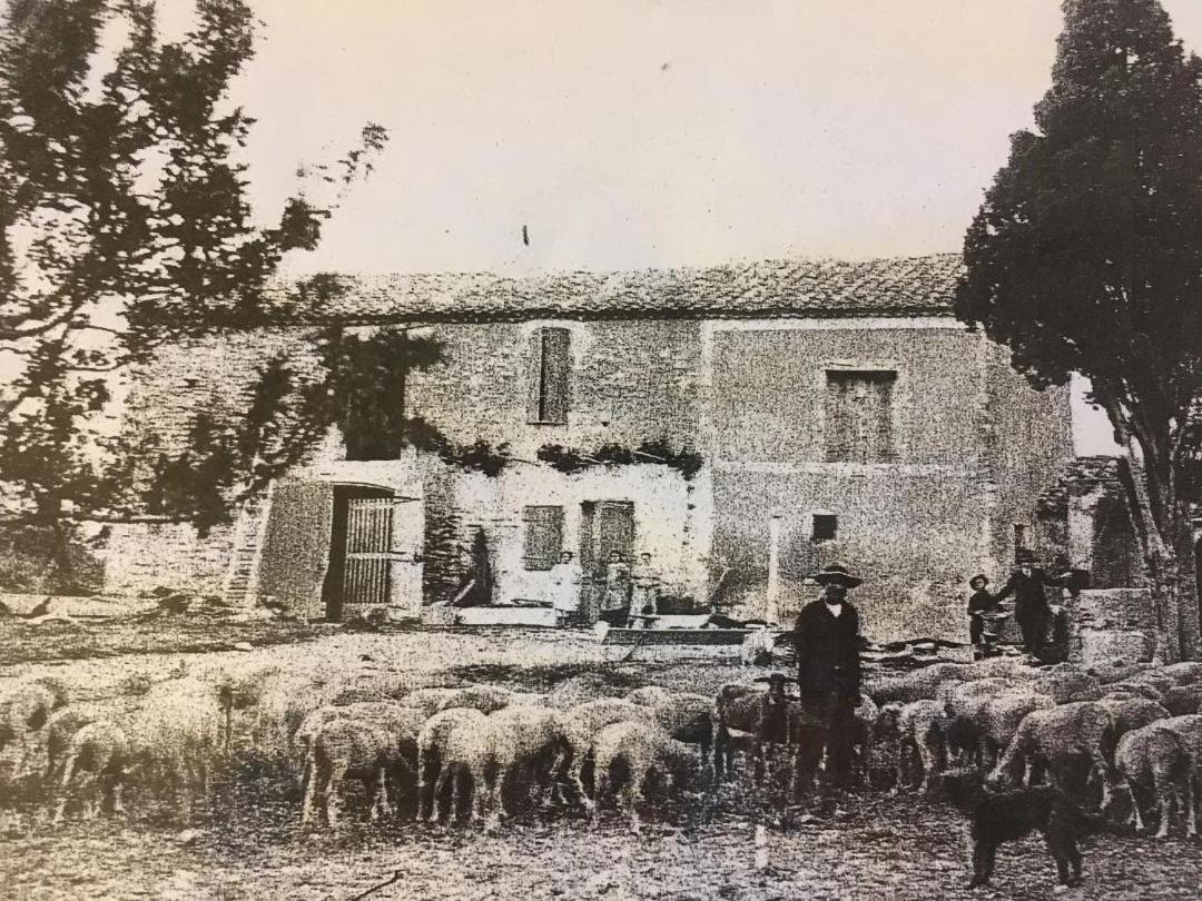 La Bergerie de Cigalon Bed and Breakfast Mouries Exterior foto