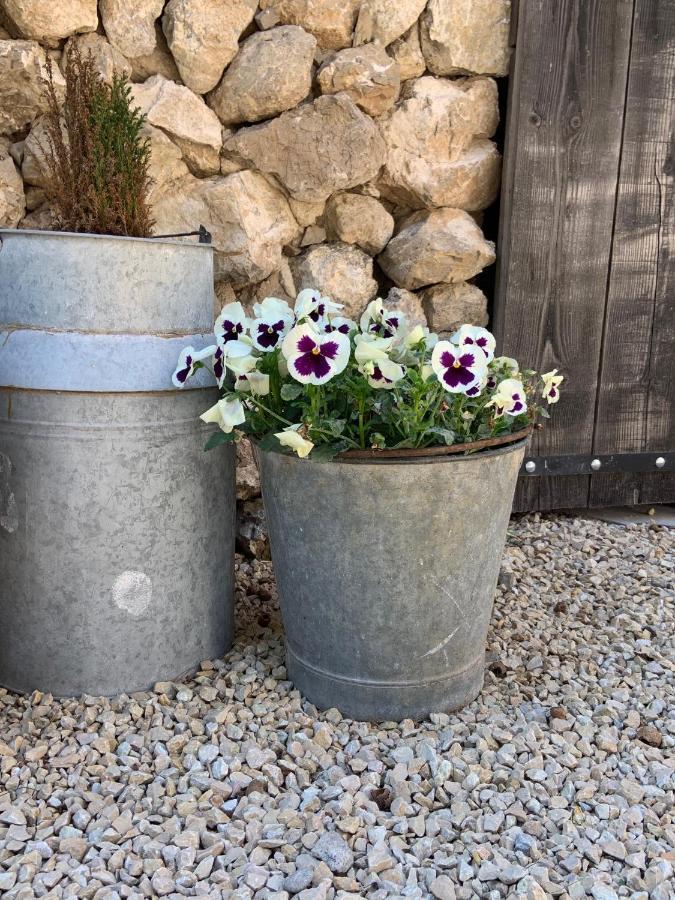La Bergerie de Cigalon Bed and Breakfast Mouries Exterior foto